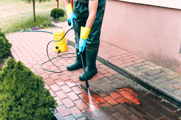 Best Driveway Pressure Washing  in El Macero, CA